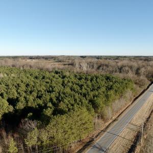 Photo #5 of 346 Menola St Johns Rd, Ahoskie, NC 35.4 acres