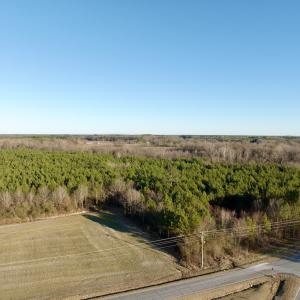 Photo #7 of 346 Menola St Johns Rd, Ahoskie, NC 35.4 acres