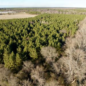 Photo #9 of 346 Menola St Johns Rd, Ahoskie, NC 35.4 acres