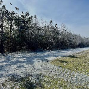 Photo #42 of 346 Menola St Johns Rd, Ahoskie, NC 35.4 acres