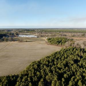 Photo #43 of 346 Menola St Johns Rd, Ahoskie, NC 35.4 acres