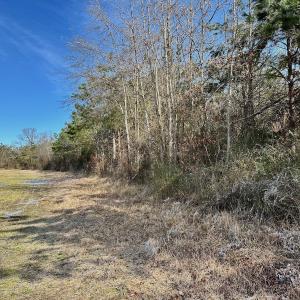 Photo #44 of 346 Menola St Johns Rd, Ahoskie, NC 35.4 acres