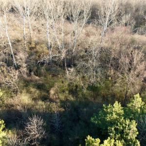 Photo #47 of 346 Menola St Johns Rd, Ahoskie, NC 35.4 acres