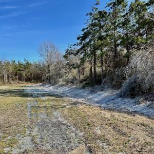 Photo #50 of 346 Menola St Johns Rd, Ahoskie, NC 35.4 acres