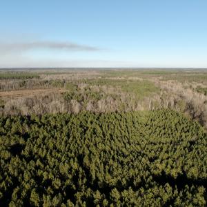 Photo #51 of 346 Menola St Johns Rd, Ahoskie, NC 35.4 acres