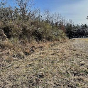 Photo #52 of 346 Menola St Johns Rd, Ahoskie, NC 35.4 acres