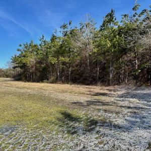 Photo #54 of 346 Menola St Johns Rd, Ahoskie, NC 35.4 acres