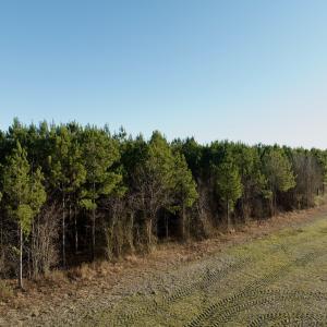 Photo #55 of 346 Menola St Johns Rd, Ahoskie, NC 35.4 acres