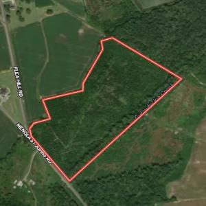 Photo #57 of 346 Menola St Johns Rd, Ahoskie, NC 35.4 acres