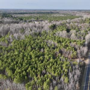 Photo #11 of Off Highway 308, Rich Square, NC 15.7 acres