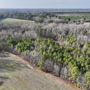 Photo #12 of Off Highway 308, Rich Square, NC 15.7 acres