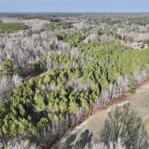 Photo #13 of Off Highway 308, Rich Square, NC 15.7 acres
