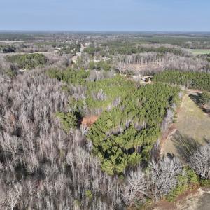 Photo #14 of Off Highway 308, Rich Square, NC 15.7 acres