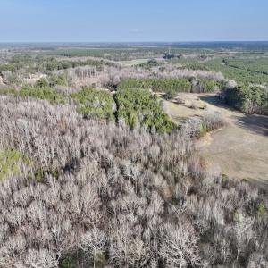Photo #15 of Off Highway 308, Rich Square, NC 15.7 acres
