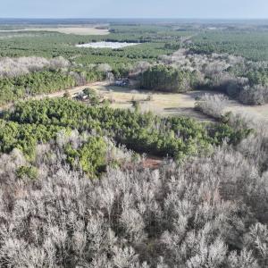 Photo #16 of Off Highway 308, Rich Square, NC 15.7 acres