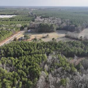Photo #17 of Off Highway 308, Rich Square, NC 15.7 acres