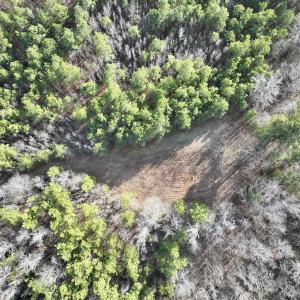 Photo #18 of Off Highway 308, Rich Square, NC 15.7 acres