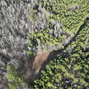 Photo #19 of Off Highway 308, Rich Square, NC 15.7 acres