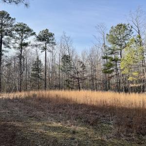 Photo #1 of Off Highway 308, Rich Square, NC 15.7 acres