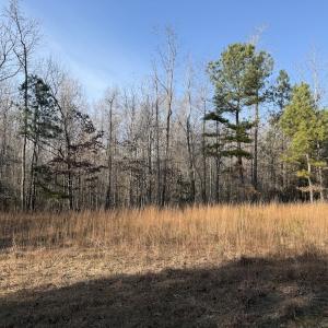 Photo #4 of Off Highway 308, Rich Square, NC 15.7 acres