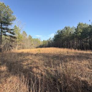 Photo #5 of Off Highway 308, Rich Square, NC 15.7 acres