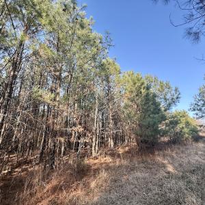 Photo #6 of Off Highway 308, Rich Square, NC 15.7 acres