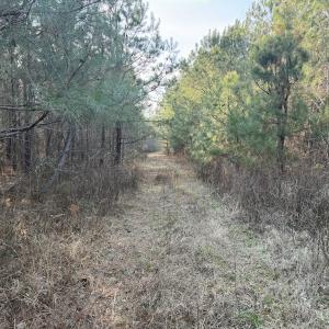Photo #21 of Off Highway 308, Rich Square, NC 15.7 acres
