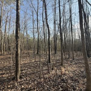 Photo #22 of Off Highway 308, Rich Square, NC 15.7 acres