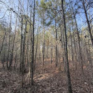 Photo #25 of Off Highway 308, Rich Square, NC 15.7 acres
