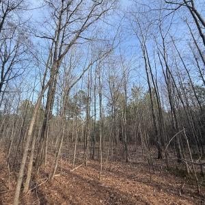 Photo #27 of Off Highway 308, Rich Square, NC 15.7 acres