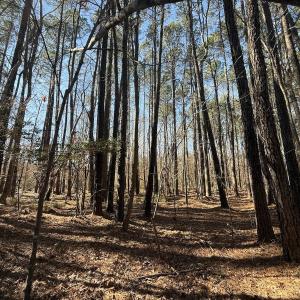 Photo #16 of 1012 S Halifax Rd, Rocky Mount, NC 20.0 acres