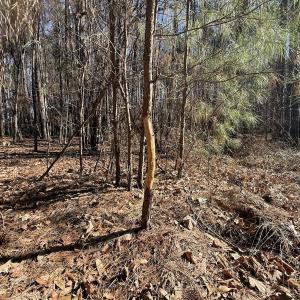 Photo #19 of 1012 S Halifax Rd, Rocky Mount, NC 20.0 acres