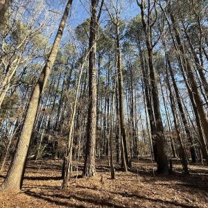 Photo #2 of 1012 S Halifax Rd, Rocky Mount, NC 20.0 acres