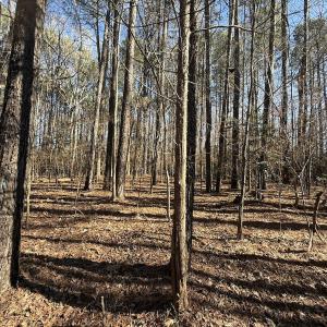 Photo #20 of 1012 S Halifax Rd, Rocky Mount, NC 20.0 acres