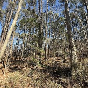 Photo #9 of 1012 S Halifax Rd, Rocky Mount, NC 20.0 acres