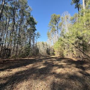 Photo #23 of 1012 S Halifax Rd, Rocky Mount, NC 20.0 acres
