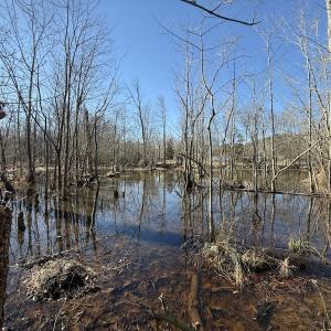 Photo #24 of 1012 S Halifax Rd, Rocky Mount, NC 20.0 acres