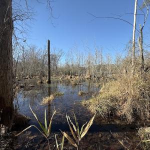 Photo #26 of 1012 S Halifax Rd, Rocky Mount, NC 20.0 acres