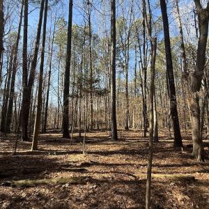 Photo #27 of 1012 S Halifax Rd, Rocky Mount, NC 20.0 acres