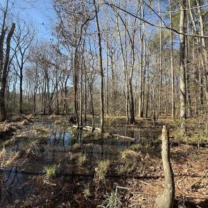 Photo #28 of 1012 S Halifax Rd, Rocky Mount, NC 20.0 acres