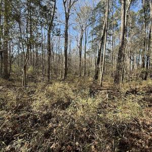 Photo #31 of 1012 S Halifax Rd, Rocky Mount, NC 20.0 acres