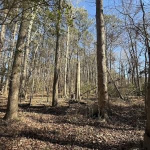 Photo #32 of 1012 S Halifax Rd, Rocky Mount, NC 20.0 acres