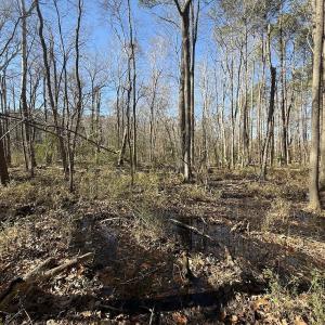 Photo #33 of 1012 S Halifax Rd, Rocky Mount, NC 20.0 acres