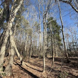 Photo #34 of 1012 S Halifax Rd, Rocky Mount, NC 20.0 acres