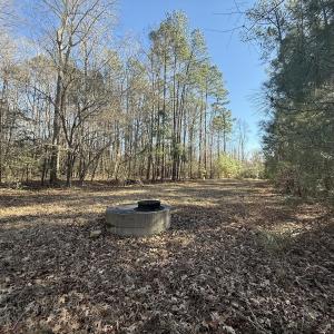 Photo #36 of 1012 S Halifax Rd, Rocky Mount, NC 20.0 acres