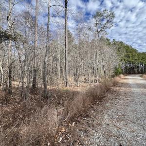 Photo #16 of 405 Batts Island Road, edenton, NC 10.7 acres