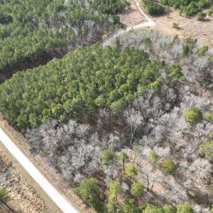 Photo #4 of 405 Batts Island Road, edenton, NC 10.7 acres