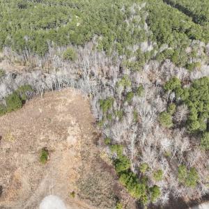 Photo #5 of 405 Batts Island Road, edenton, NC 10.7 acres