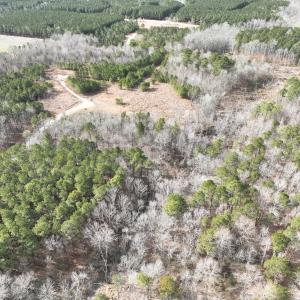 Photo #6 of 405 Batts Island Road, edenton, NC 10.7 acres