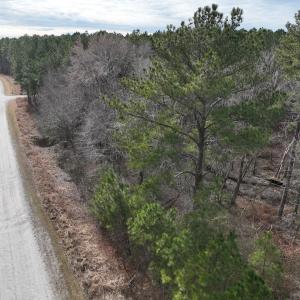 Photo #9 of 405 Batts Island Road, edenton, NC 10.7 acres